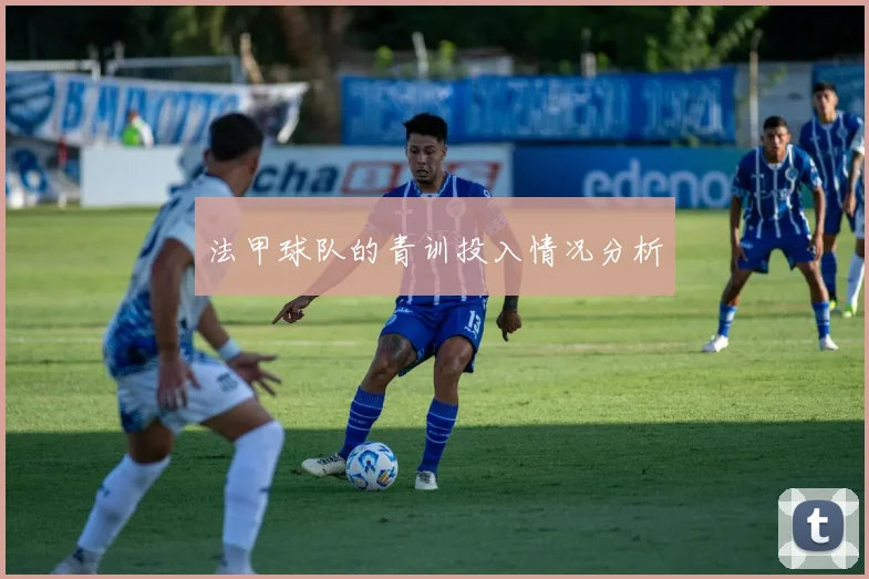 法甲球队的青训投入情况分析